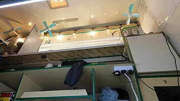 is that pussy peeking under her skirt at work?