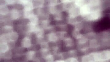 fucked that big booty ebony teen twice today?