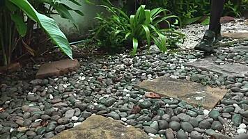 How should I punish her? By tickling those sexy bound feet?