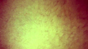 Teen Loves First Homemade Anal