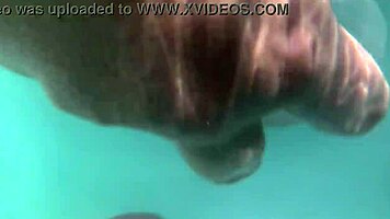 underwater babe gets creampie and dildo