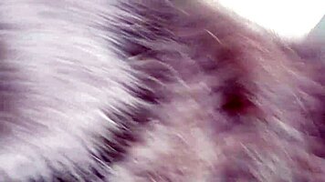 Hey, sword in dhoti for anal fucking that Muslim sister-in-law's big ass on the chair