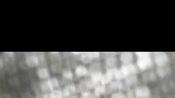 shy teen neighbor back for more with big black cock in car