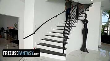 Freeuse Household Part 2