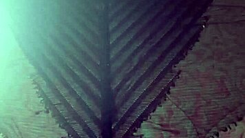 elza kom in nylon tights fetish with curvy escorts, big ass, asshole, and ebony amateurs