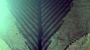 elza kom in nylon tights fetish with curvy escorts, big ass, asshole, and ebony amateurs