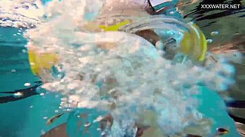 Watch Couple Film Underwater Fucking!