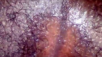 In a homemade video, the mzansi teen fingers her tight ahole.