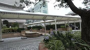 Just a casual fling with a stunning young Japanese wife