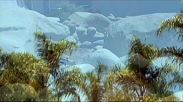 Lena rides outside and receives a facial ending