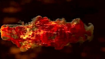 Cute Slut With Big Natural Tits Gets Hard Anal Fuck And Deepthroat