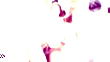 Mary Jane takes three monster BBCs in balls deep anal, DAP, gapes, creampie, and swallow