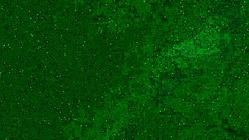 Look at this crazy girl peeing in her panties on the beach!