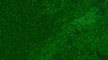 Look at this crazy girl peeing in her panties on the beach!