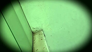 Hey, Spying on Sexy Mexican Classmate in Miniskirt on Trip!