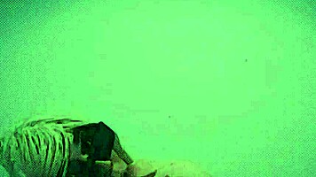 shemale veronica trains weekly with dildo in solo fetish play