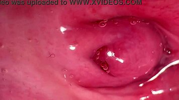 amateur pink pussy 172 days after losing her virginity