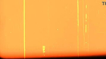 Naughty Ivy Kneels Sucks Fat Dick Rides