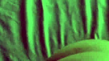 Teen gets mouth fucked by padrastro with cumshot 😈