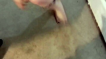 Latina teen talia gets her huge tits bound and fucked deeply