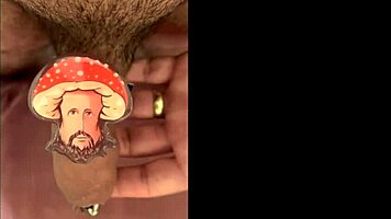 Seasonal compilation gift