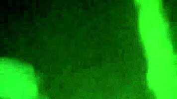 MZANSI TEEN STOPPED JERKING OFF LAST MINUTE TO CELEBRATE NEW YEAR - FREE RED VIDEO