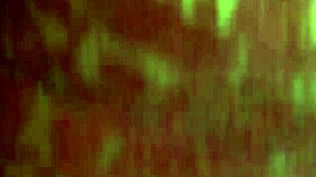 No Puedo Ir Ni Al Baño Este Hombre Quiere Sexo Todo El Día