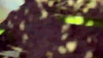 The free sfw version of my first ever pornlog