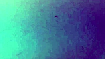 Sexo Arriscado Em Público Com Uma Petite Magra Com Buceta Apertada Na Piscina