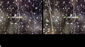 Euro lesbians piss and finger