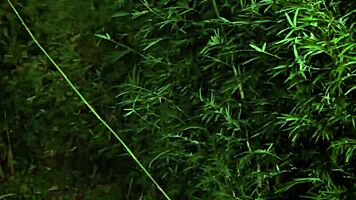 Inked Teen Reveals Massive Tits in Forest