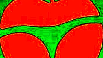 I Fuck A Fan And Take His Virginity