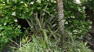 Kristal Summers Spots Gardener Outdoors