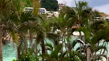 Boate Liberal Dei No Salão Na Frente De Todo Mundo 😜