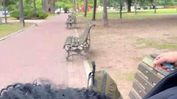 Thrilling Experience of Taking Milk in Buenos Aires Public Park During Daytime