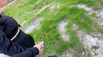 Pelirroja culona penetrada en un bosque 😘