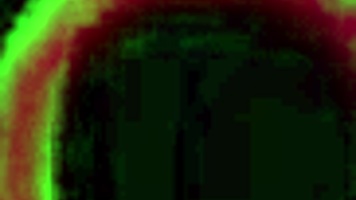 Petite Holly Lace Receives Intense Interracial Facial