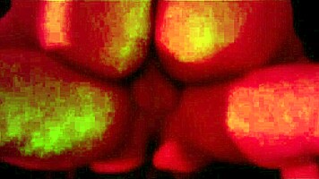 Garota Safada Faz Orgia Sem Camisinha Com 4 Amigos Ao Som De Funk E Luz Vermelha