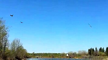 Young Angler Girl Went To Fish After School, Wearing Uniform, Underwear, Fishnets, Socks, Skirt, Miniskirt In Forest