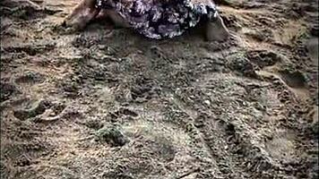 Брюнетка латиноска дает POV минет на публичном пляже