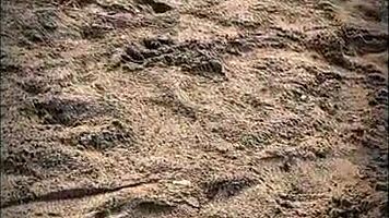 brunette latina babe gives pov blowjob on public beach