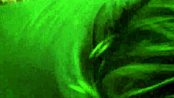 Best friend surprises with cum swallowing after teasing blowjob