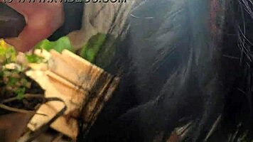 Cuckold My Friend Sharing His Wife For A Quick Outdoor Fuck