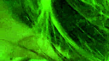 french canadian milf sucks latin cock like a pro in hotel room