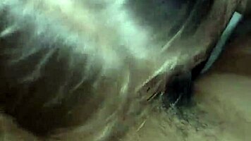 Beautiful woman comes home from work