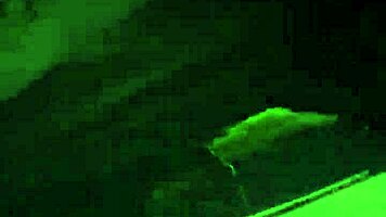 Heart-pounding thrill catches me fucking stranger intensely on street