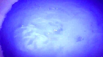 two ravenous sluts devour each other hungrily