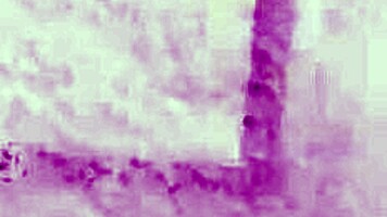 Big ass redhead model poses naked hairy pussy exposed