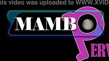 vitoria's slim ebony ass takes dap from 3 bbc monsters 😈