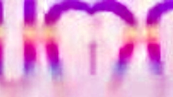 Camila Smith's first pee drink leads to triple cock DP anal with hot cum swallow
